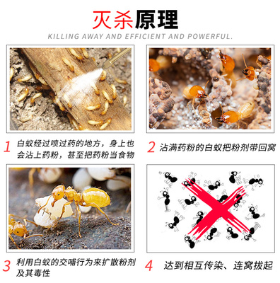 狂豐白蟻藥粉 家用室內裝修園林防治誘殺藥傳染殺蟲劑