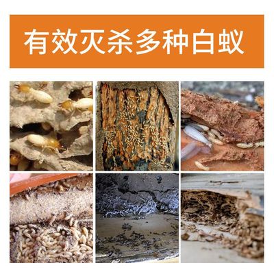 安速白蟻藥防治專用藥粉除滅傳染全窩端家用室內殺白飛螞蟻殺蟲劑