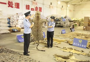瀕危物種緝私十大典型案例發布 兩起已判決,五起移送檢察機關審查起訴