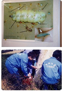 圖 溫州市鹿城區餐廳消殺多少錢 溫州保潔清洗 溫州列表網