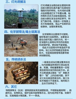 威多邦滅四害消殺服務 專業白蟻防治 白蟻滅殺 滅蟲中心