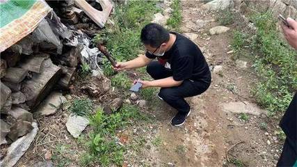 龍口市住建局開展蟻情調研,助力村莊掃清白蟻危害