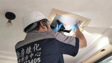 上海下周進入白蟻集中出飛季,發(fā)現(xiàn)白蟻可以自行滅殺嗎?聽聽專業(yè)滅蟻隊怎么說