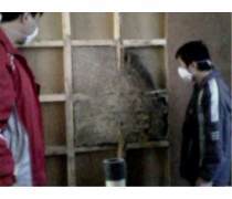石獅白蟻防治熱賣促銷