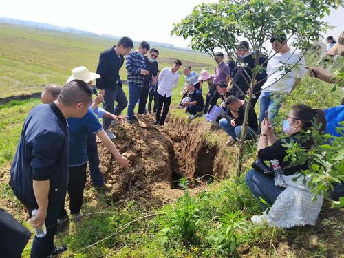 湖北陽新縣水利局系統年輕干部讀書班 科普白蟻防治工作