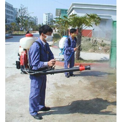 江門白蟻防治公司:主要危害木材料的白蟻種類