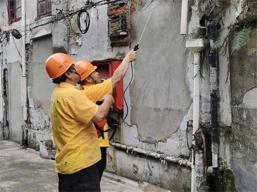 天氣悶熱潮濕 白蟻出沒小心 整治小分隊 緊急出動