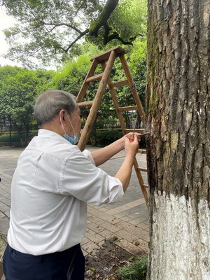 兒童公園管理處:積極開展白蟻防治工作