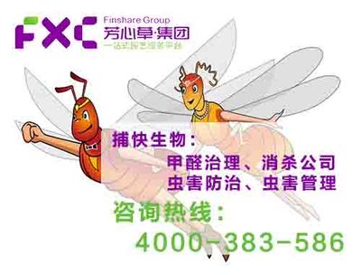 成都青羊區白蟻防治公司哪家好_【其他未分類】