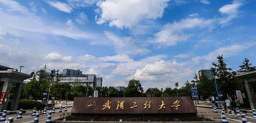 武漢工程大學化學與環境工程學院有調劑需求,預調劑專業公布