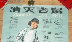 嘉定滅跳蚤,嘉定白蟻滅殺,嘉定白蟻防治所021-54303723_世界工廠網