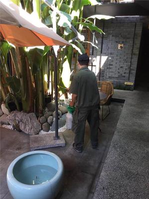 成都仁民有害生物防治服務