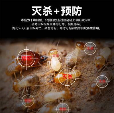江西南昌余干縣白蟻防治中心
