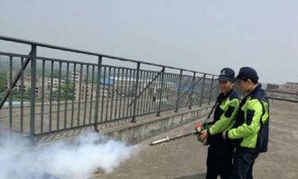 戰蟲專業除蟲公司,工廠滅白蟻,四害消殺,滅鼠滅蟑