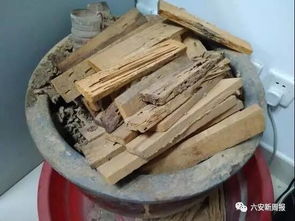 六安這個地方藏著兩億年前的生物 密集恐懼癥這慎入