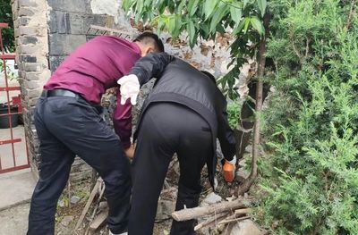 孝昌縣小河鎮:積極開展白蟻防治,解決居民煩心事