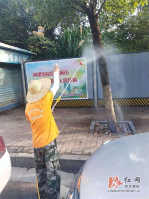 我為群眾辦實事|冷水灘:強化白蟻防治 共建美好家園