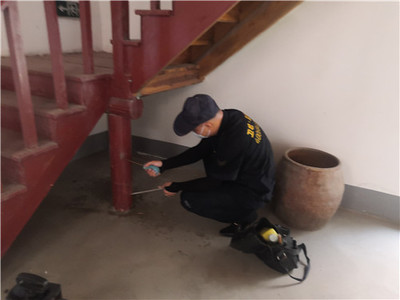 白蟻防治