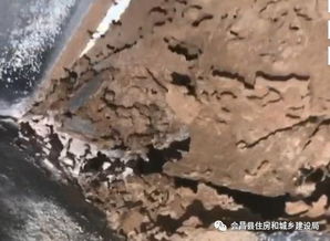 縣住建局全力做好居民小區(qū)白蟻防治工作