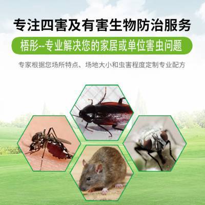 海南各市縣海口三亞病媒防制滅四害除蟲除白蟻除老鼠蟑螂蒼蠅蚊子殺菌消毒