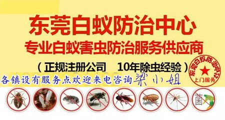 家里發(fā)現(xiàn)白蟻怎么辦東莞專業(yè)上門除白蟻 滅白蟻 預(yù)防