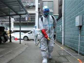 圖 東莞殺白蟻公司,滅白蟻就選春華公司 東莞保潔清洗 東莞列表網