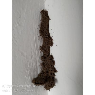 自貢白蟻,白蟻防治,內江白蟻,宜賓白蟻,白蟻防治,白蟻滅殺