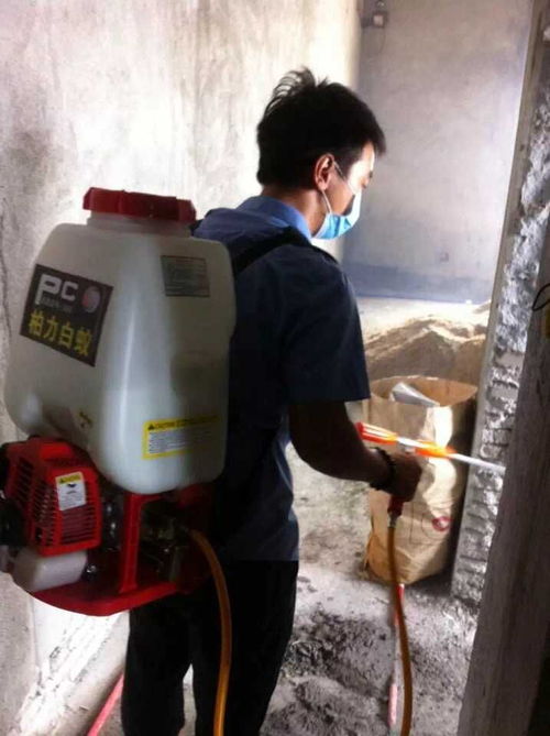 園洲東江府 新房防治白蟻工程 東莞市柏力白蟻防治 石龍白蟻 石龍殺蟲 石龍除四害 石碣白蟻 石碣殺蟲 東莞白蟻防治公司 東城白蟻 石排白蟻 石排殺蟲 石排除四害