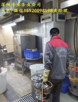 深圳酒店住宅滅臭蟲滅跳蚤工廠白蟻防治,除蟲滅鼠,除蟲除蟻滅蟑螂