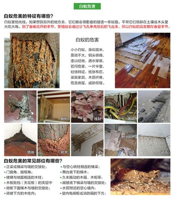 [滅白蟻藥殺蟲劑粉白蟻防治誘殺裝修地板林地螞蟻全窩端40克] 新科技殺白蟻,傳染滅殺,白蟻全窩端。家庭用戶建議買4-5瓶。公司用戶按照每25平米1瓶用量購買。買十包郵。 電玩口袋